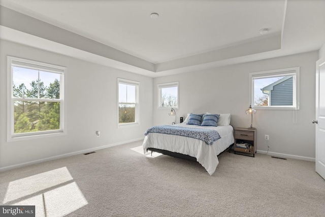 6520 Wild Orchid Ct, Fredericksburg, VA 22407 - carpeted bedroom featuring a raised ceiling, baseboards, and multiple windows