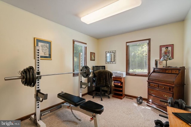 exercise area with plenty of natural light, baseboards, and carpet