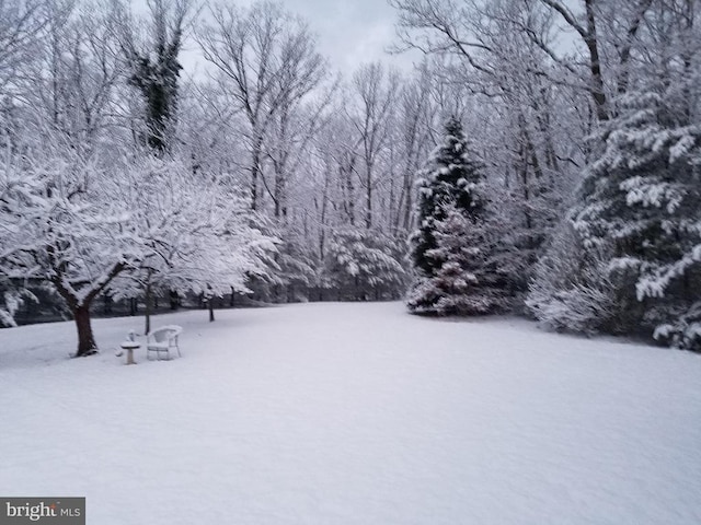 view of yard covered in snow
