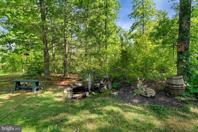 view of grassy yard