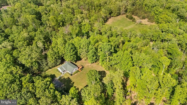 bird's eye view of a forest