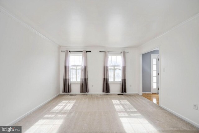 10501 Crestfield Ln, Spotsylvania, VA 22553 - unfurnished room with crown molding, light colored carpet, and baseboards