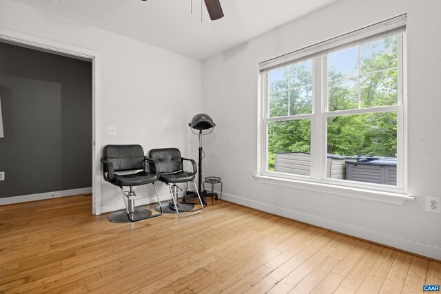 824 Nassau St, Charlottesville, VA 22902