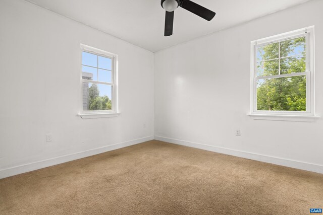 824 Nassau St, Charlottesville, VA 22902