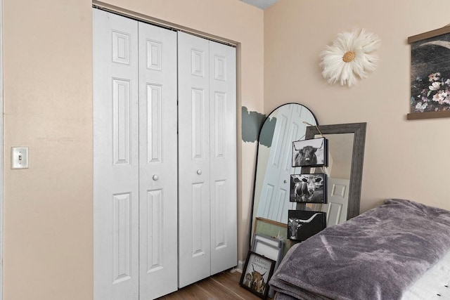 1294 Victorian Village Dr, Harrisonburg, VA 22802 - bedroom with dark wood-style flooring and a closet