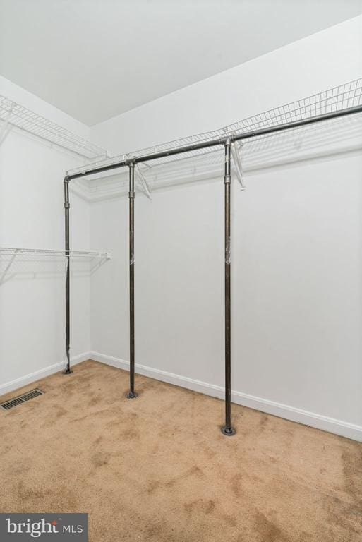 4117 Dartmoor Ct, Fredericksburg, VA 22408 - spacious closet featuring carpet floors