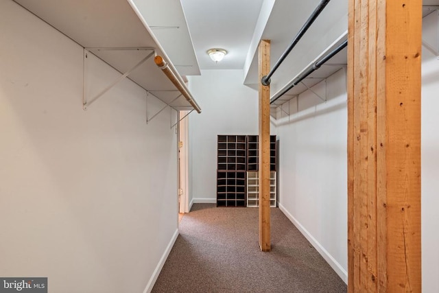 4117 Dartmoor Ct, Fredericksburg, VA 22408 - spacious closet with carpet floors