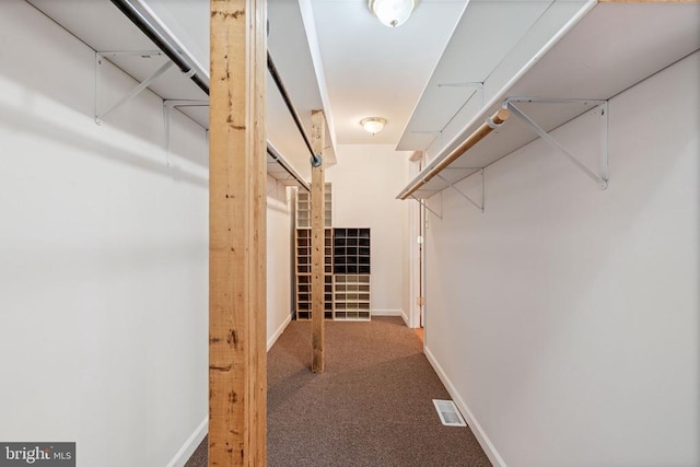 4117 Dartmoor Ct, Fredericksburg, VA 22408 - walk in closet with carpet flooring