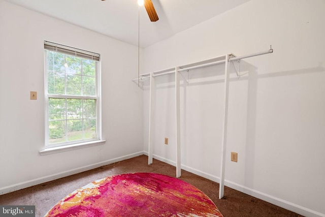 4117 Dartmoor Ct, Fredericksburg, VA 22408 - walk in closet with carpet and ceiling fan