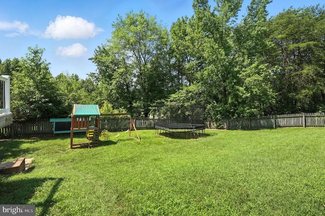 6205 Patrician Ct, Fredericksburg, VA 22407 - fenced backyard with a trampoline and a playground