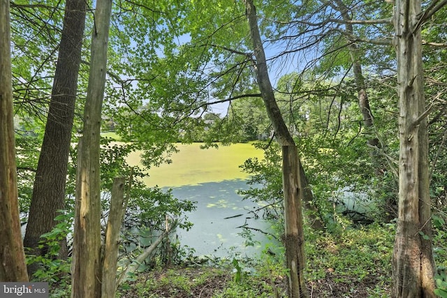 6205 Patrician Ct, Fredericksburg, VA 22407 - water view