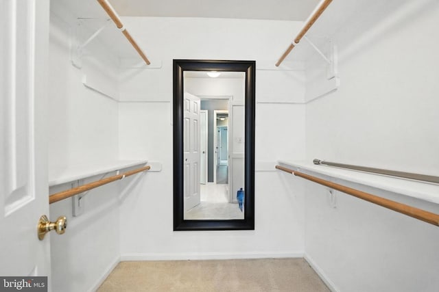 6205 Patrician Ct, Fredericksburg, VA 22407 - walk in closet with light carpet