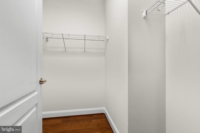 walk in closet with wood finished floors