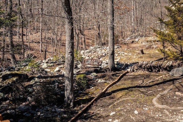 view of local wilderness