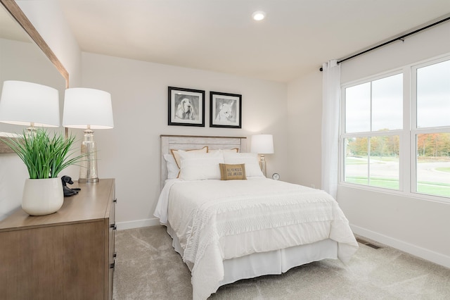 108 Courtyard Ter, New Market, VA 22844 - bedroom with light carpet and recessed lighting