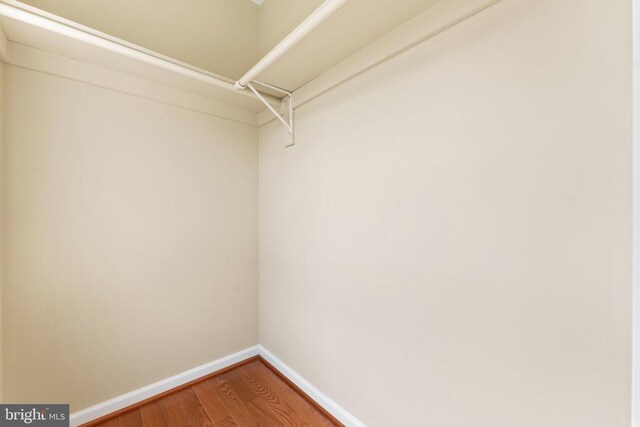 walk in closet with wood finished floors
