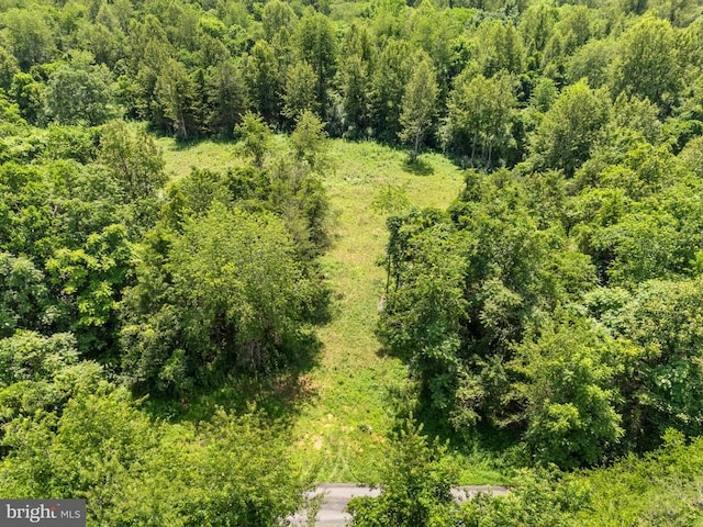 0 Thoroughfare Ln, Culpeper, VA 22701
