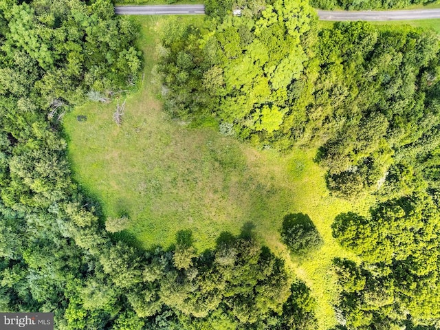 0 Thoroughfare Ln, Culpeper, VA 22701
