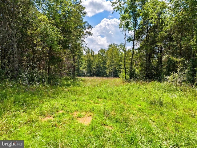 0 Thoroughfare Ln, Culpeper, VA 22701