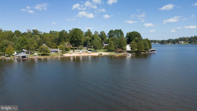 309 Ellis Dr, Louisa, VA 23093 - photo 42