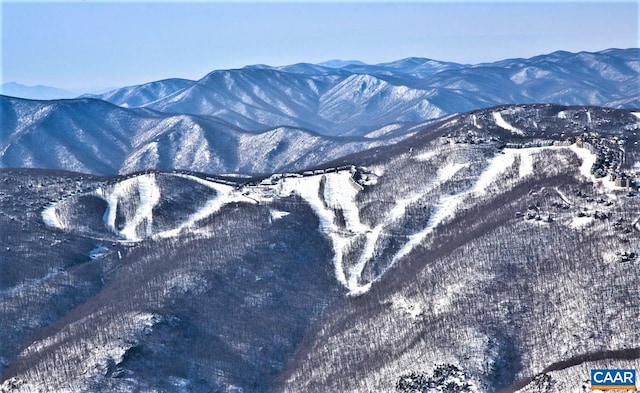 455 Laurel Springs Dr, Wintergreen Resort, VA 22967