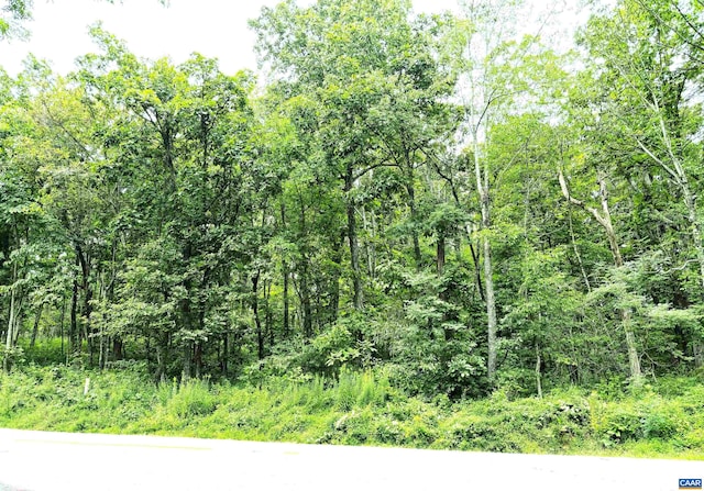 455 Laurel Springs Dr, Wintergreen Resort, VA 22967