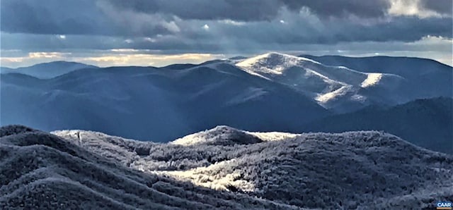 455 Laurel Springs Dr, Wintergreen Resort, VA 22967