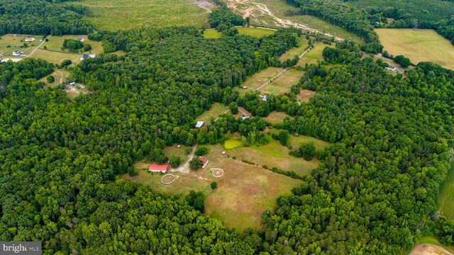 4901 Lewiston Rd, Bumpass, VA 23024 - photo 7