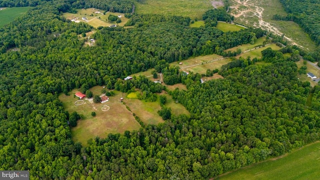 4901 Lewiston Rd, Bumpass, VA 23024 - photo 4