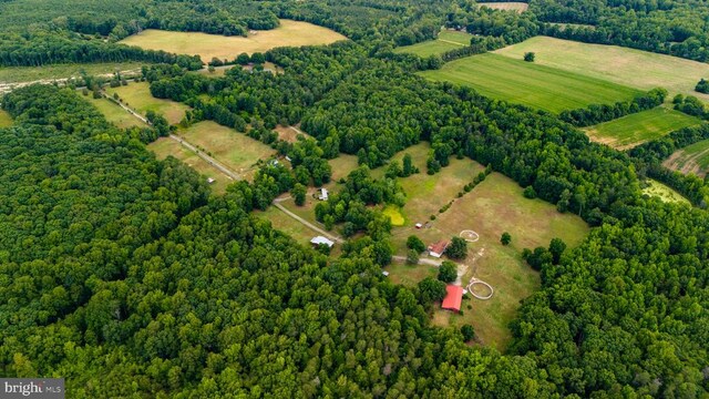 4901 Lewiston Rd, Bumpass, VA 23024 - photo 9
