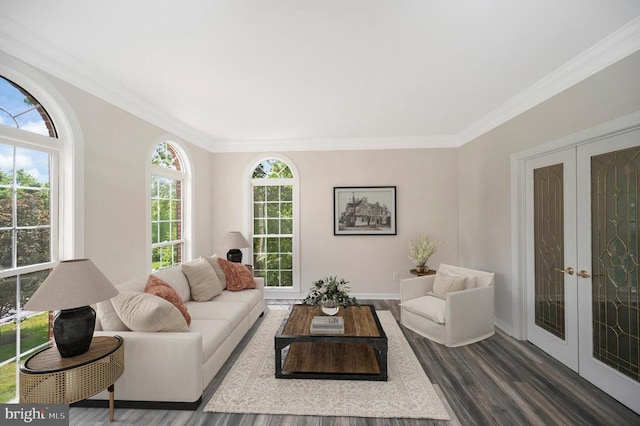 living area with french doors, crown molding, dark wood finished floors, and baseboards
