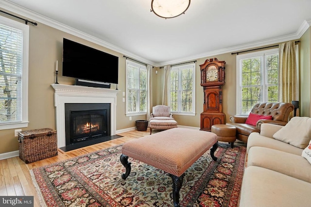 living room with wood finished floors, healthy amount of natural light, crown molding, a fireplace with flush hearth, and baseboards