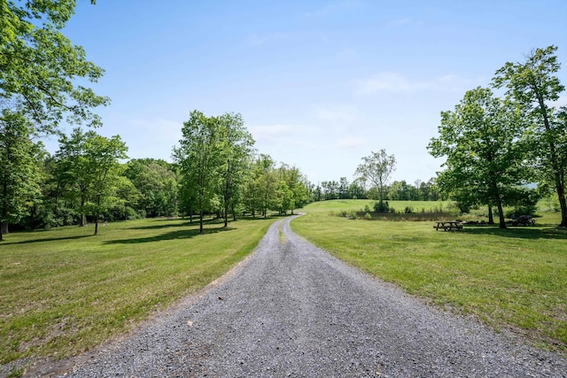 246 Locust Ln, Edinburg, VA 22824 - photo 56