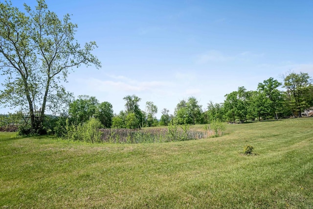 246 Locust Ln, Edinburg, VA 22824 - photo 57