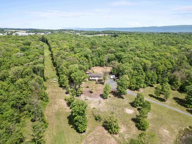 246 Locust Ln, Edinburg, VA 22824 - photo 62
