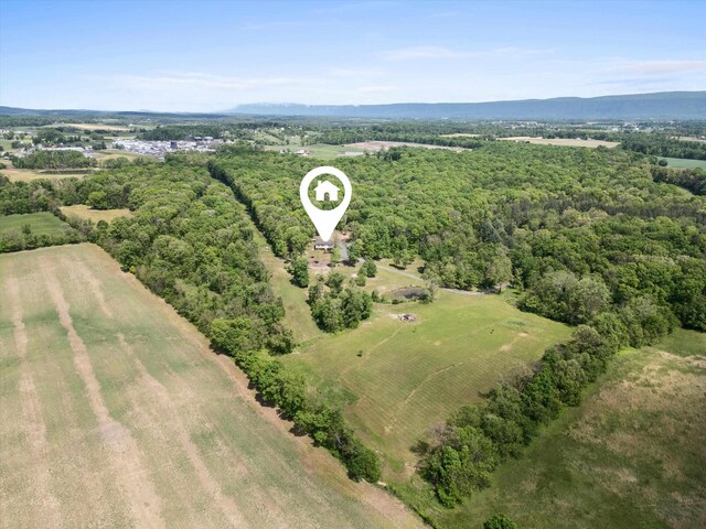 246 Locust Ln, Edinburg, VA 22824 - photo 68