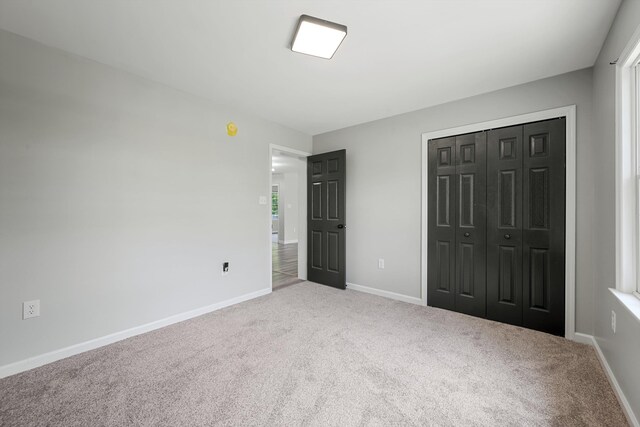 246 Locust Ln, Edinburg, VA 22824 - photo 26