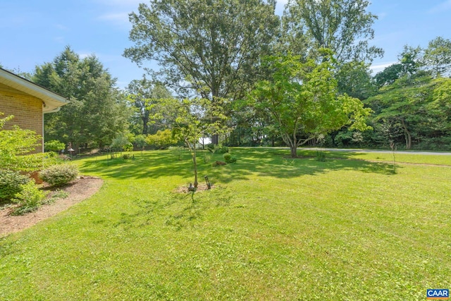 310 Gloucester Rd, Charlottesville, VA 22901 - view of grassy yard with view of scattered trees