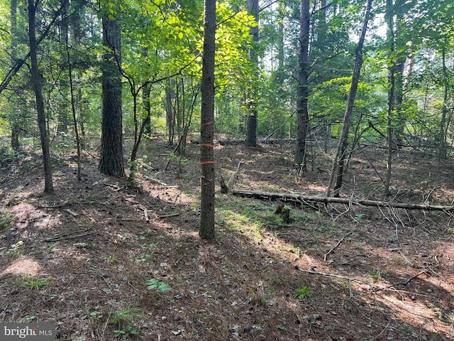 Lake Forest Dr, Mineral, VA 23117 - photo 2