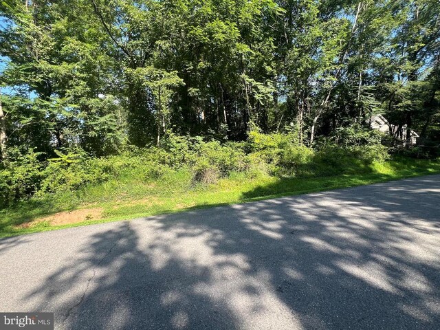 Lake Forest Dr, Mineral, VA 23117 - photo 4