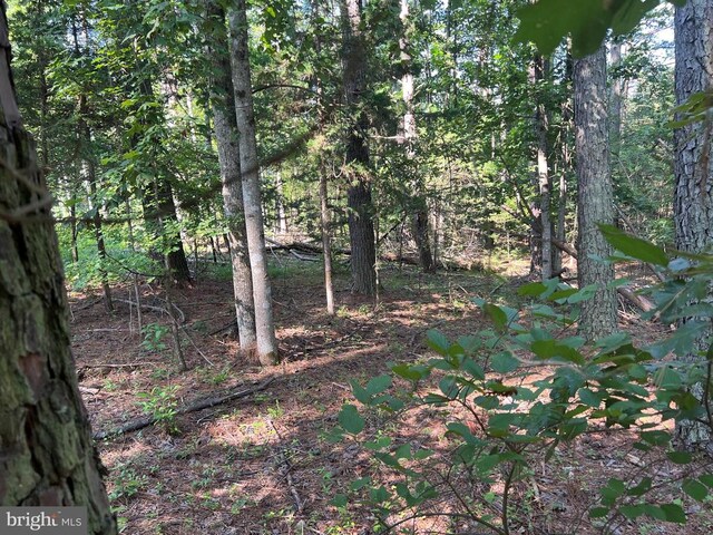 Lake Forest Dr, Mineral, VA 23117 - photo 5