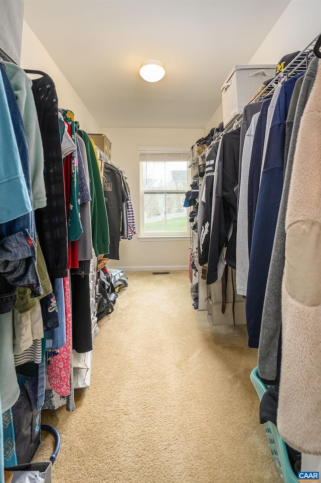 walk in closet with carpet floors