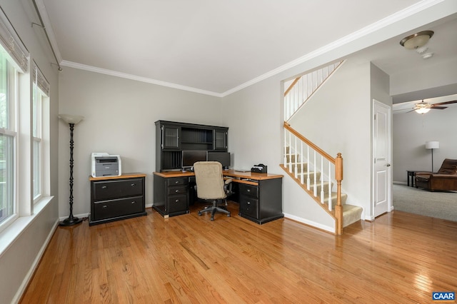home office with light wood-type flooring, plenty of natural light, and ornamental molding