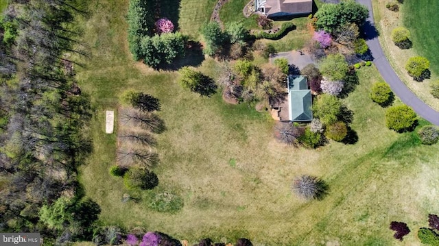 view of subject property