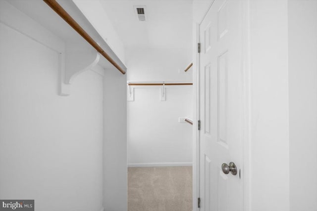 walk in closet featuring carpet