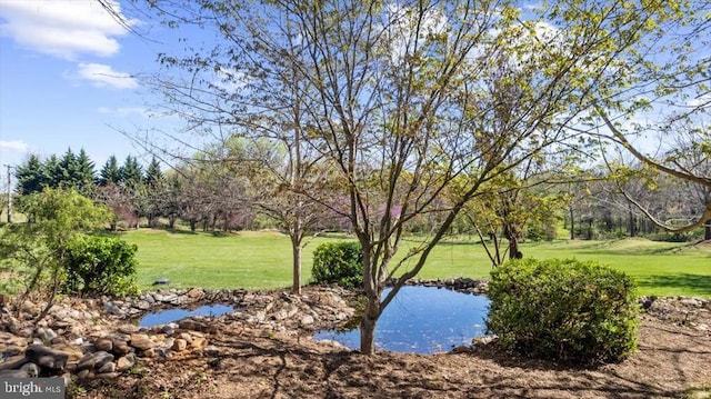 water view featuring a tree filled landscape