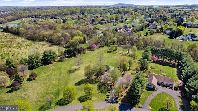 bird's eye view