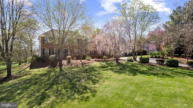 view of grassy yard