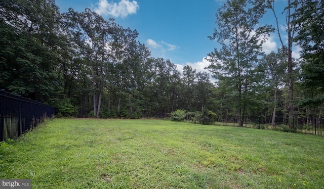 12709 Plantation Dr, Spotsylvania, VA 22551 - photo 4