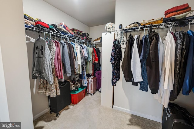 2612 High Pt, Culpeper, VA 22701 - walk in closet featuring carpet flooring